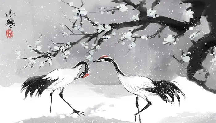 2021小寒是几月几日 2021年小寒是哪一天