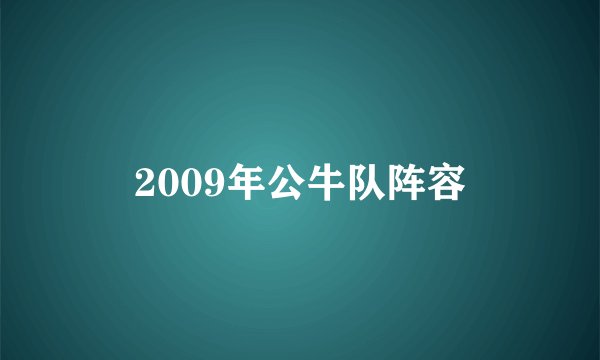 2009年公牛队阵容
