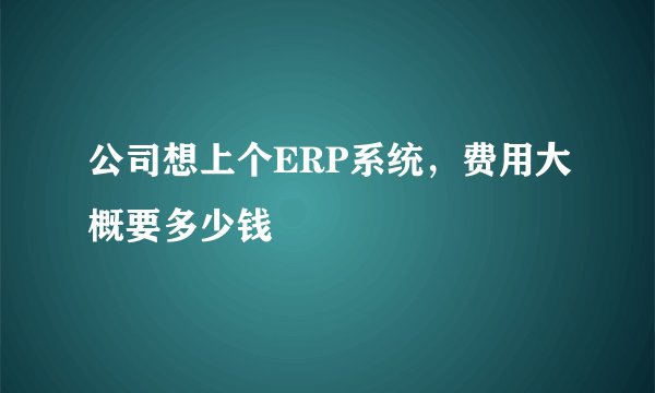 公司想上个ERP系统，费用大概要多少钱