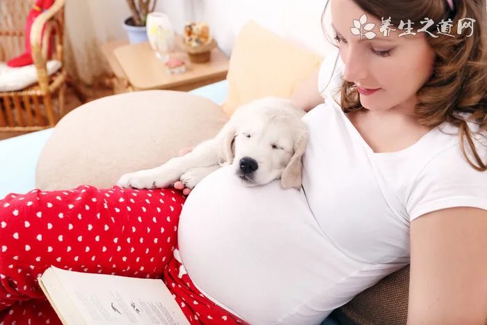 “拉布拉多犬多少钱一只，成犬和幼犬的价格一样吗