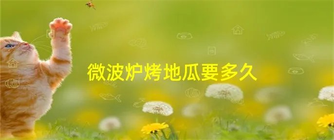 微波炉烤地瓜要多久