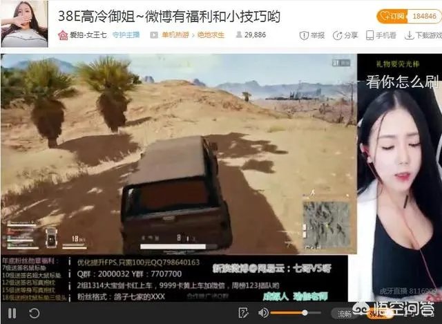 pubg哪个主播好看