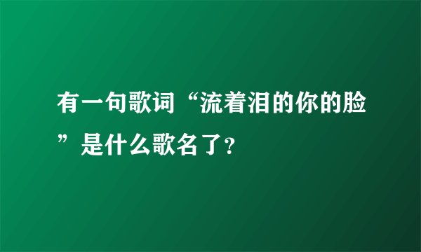 有一句歌词“流着泪的你的脸”是什么歌名了？