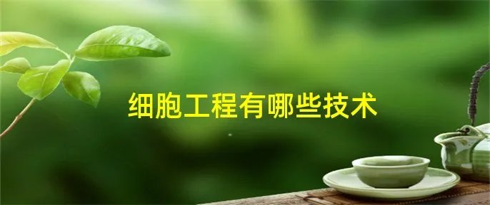 细胞工程有哪些技术