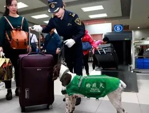 带连花清瘟被查,驻新西兰使馆做出了怎样的提醒?