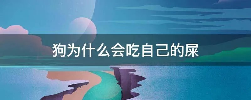 狗为什么会吃自己的屎