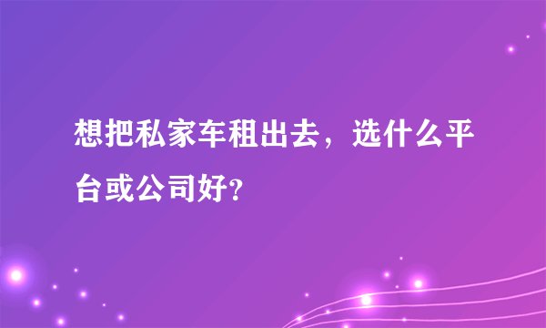 想把私家车租出去，选什么平台或公司好？
