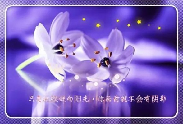 网上很火的伤感图片