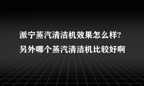 派宁蒸汽清洁机效果怎么样?另外哪个蒸汽清洁机比较好啊