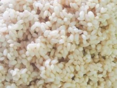 肉粽子的米怎么腌制窍门