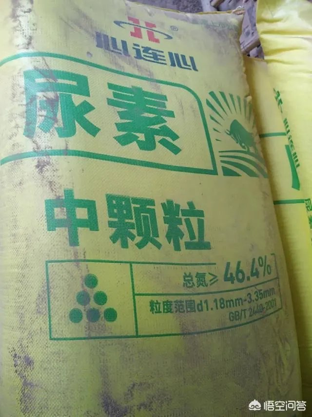 2019年复合肥价格行情走势如何，农民是在春节前购买，还是春节后备耕？