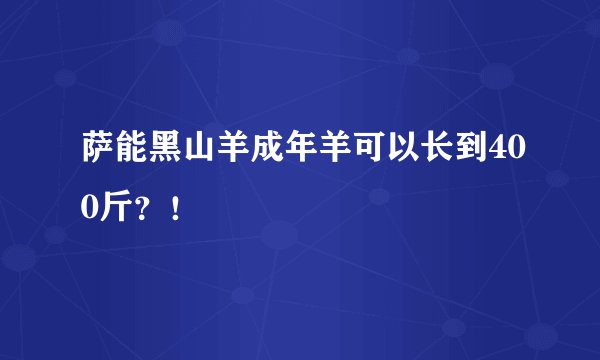 萨能黑山羊成年羊可以长到400斤？！