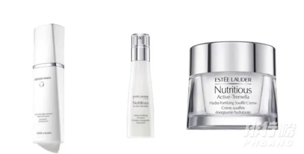 雅诗兰黛面霜哪款好用_雅诗兰黛抗衰老面霜哪款好干皮