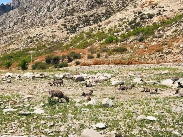 银川必去的五大景点有哪些？