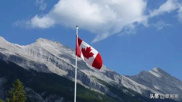 加拿大华人那么多，他们怎样应付这次疫情？