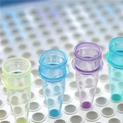 乙肝症状有哪些