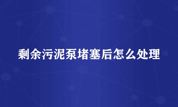 剩余污泥泵堵塞后怎么处理