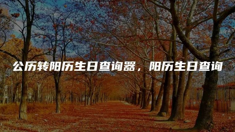 公历转阳历生日查询器，阳历生日查询