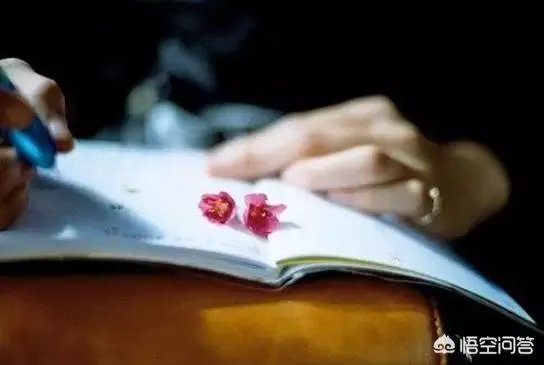 为了做自己想做的事生活在喜欢的环境,愿意抛弃眼前的事业吗?