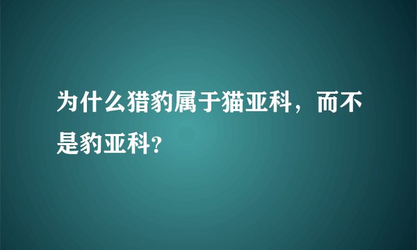 为什么猎豹属于猫亚科，而不是豹亚科？