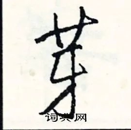 芽组词_芽字怎么组词_芽组词有哪些_带芽字的词语