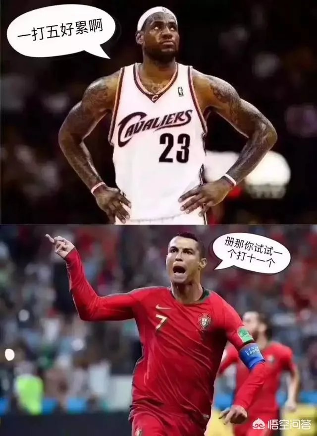 2018年世界杯，为什么没有罗本？