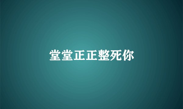 堂堂正正整死你