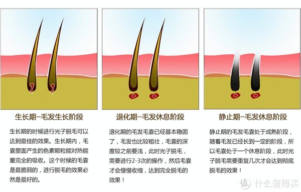 脱毛贴怎么使用