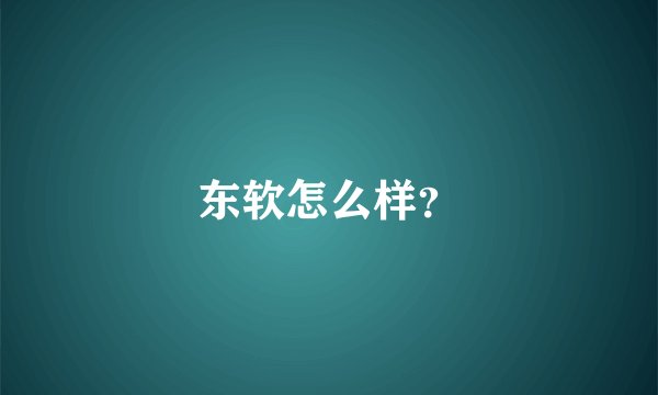 东软怎么样？