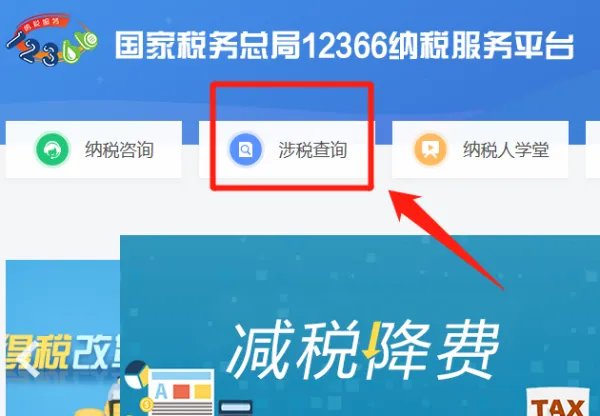 国家税务局发票查询系统官网