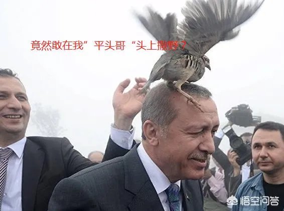 土耳其为什么敢“剑”指在叙美军?