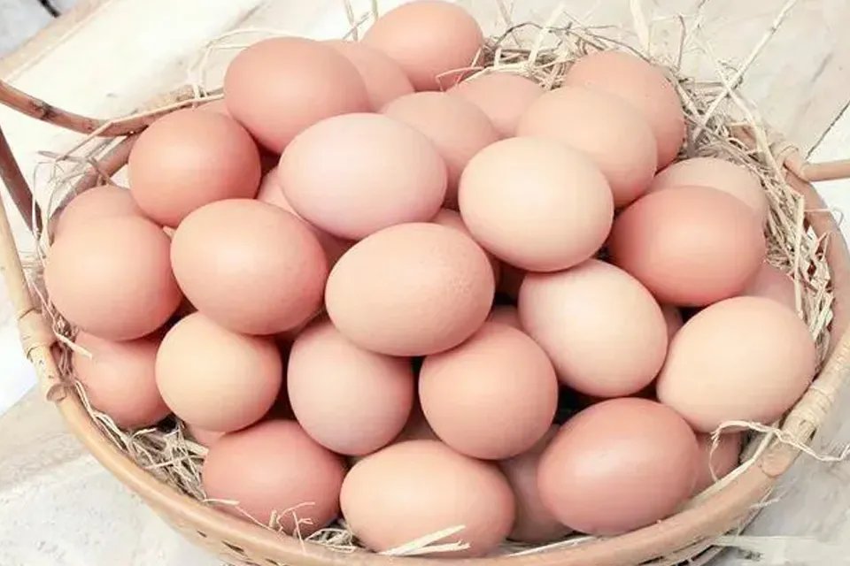 保洁蛋是什么鸡蛋 鸡蛋是高热量食物吗