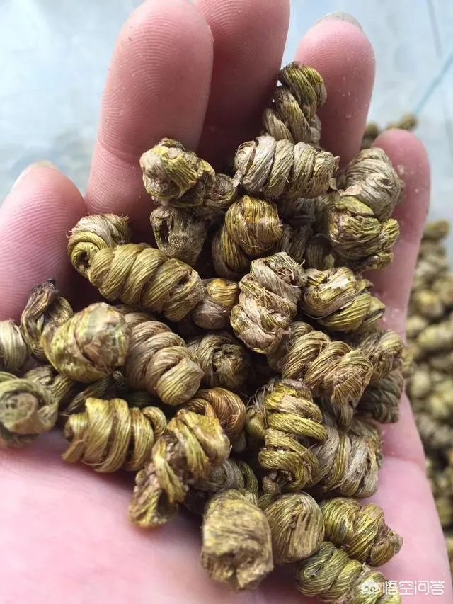 如何让石斛煮水更好喝?