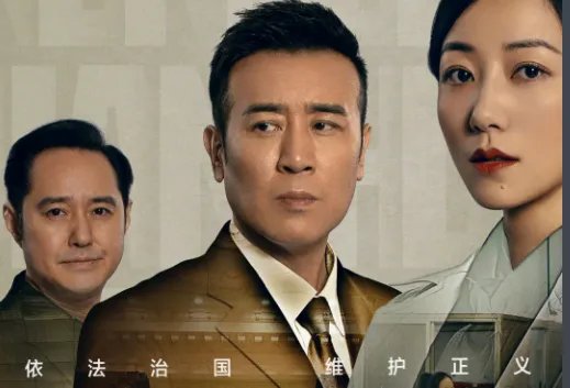 《巡视检查组》在哪台播出的？