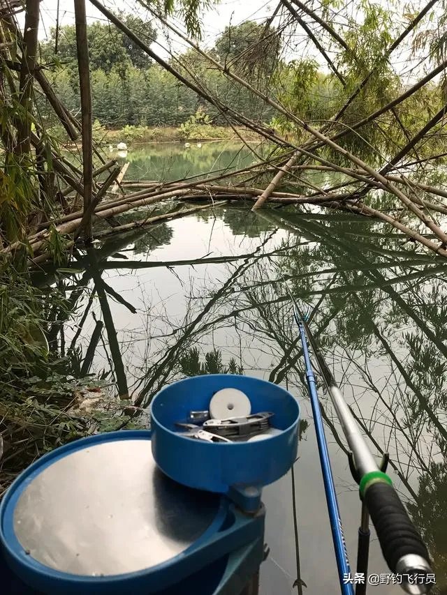 户外钓鱼直播怎么做？