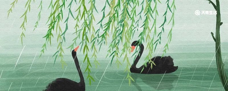 春江水暖鸭先知告诉我们的道理是什么