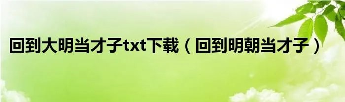 回到大明当才子txt下载（回到明朝当才子）