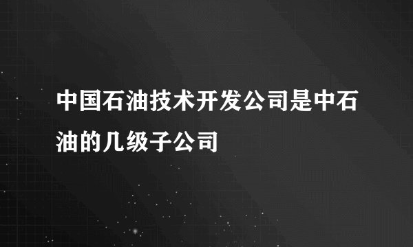 中国石油技术开发公司是中石油的几级子公司