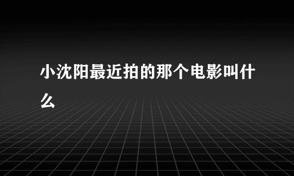 小沈阳最近拍的那个电影叫什么