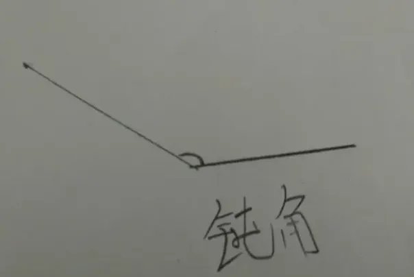 钝角是什么梗网络流行语：代表抽象文化(网络流行梗)
