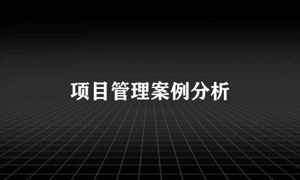 项目管理案例分析