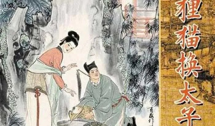 狸猫换太子的故事