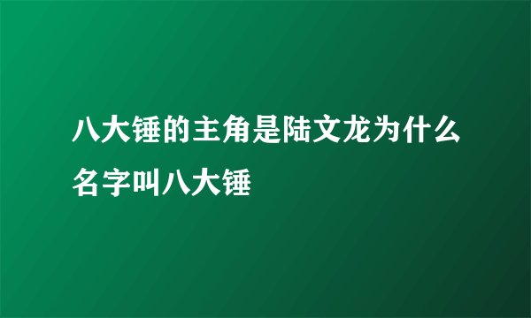 八大锤的主角是陆文龙为什么名字叫八大锤
