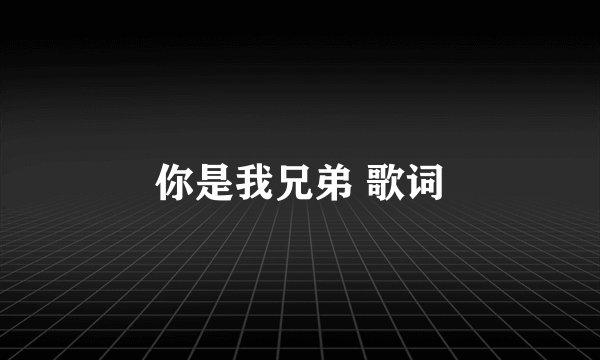 你是我兄弟 歌词