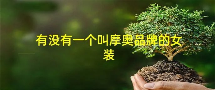 有没有一个叫摩奥品牌的女装