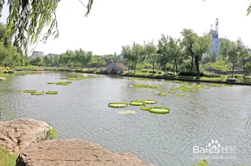 苏州园林卡 怎么办理？