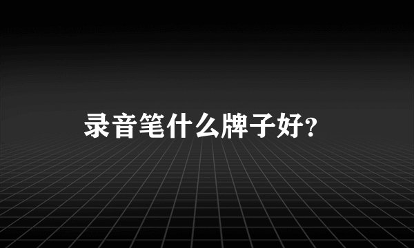 录音笔什么牌子好？