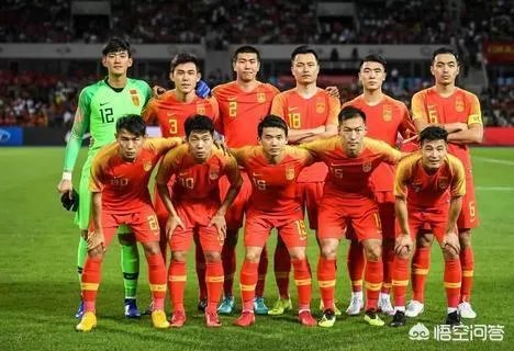 埃尔克森和高拉特倘若真的被顺利归化成功，他们还把国足带入了世界杯！你们会自豪吗？