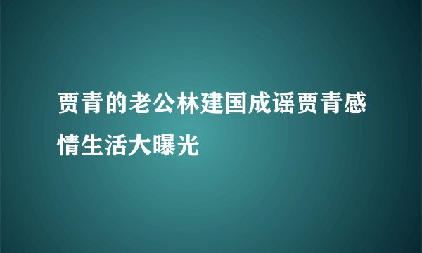 贾青的老公林建国成谣贾青感情生活大曝光