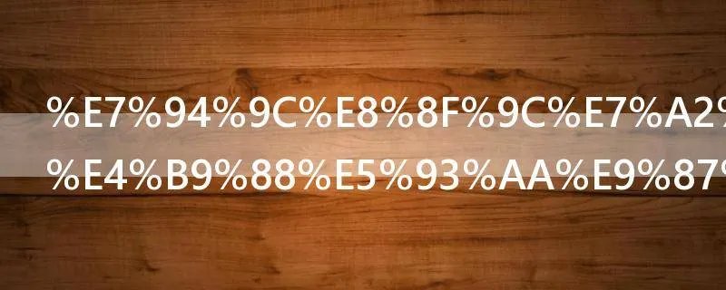 甜菜碱是什么哪里有卖